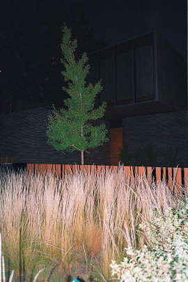 Palo Alto